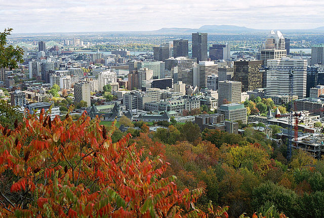 Photo of downtown Montreal seen from Mont Royal,
	    by Anna Kucsma at English Wikipedia, CC BY 2.5,
	    https://commons.wikimedia.org/w/index.php?curid=1375097